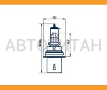 ����� /������ /����� Narva /HB5 12V 65/55W; 12-65/55 ��; 48007 48007 ����