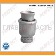 ����������� �������� ���� Perfect (��������� 1 ��) NS05C11B ����