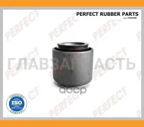 ����������� ������ ���������� ���� Perfect (��������� 1 ��) NS65A31F ����