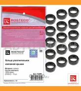 ������ �������������� ��������� ������ Rosteco 21096 21096 ����