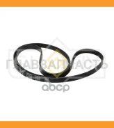 ������ ������������ 5PK1645 Suzuki Baleno 1.8 96-, Vitara 2.0 16V 96-99 FB3101 ����