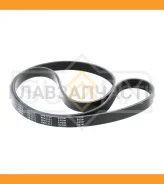 ������ ������������ 6PK1413 FORD Escort, �Focus, �Sierra, �Scorpio, �Transit / OPEL Signum, Vectra C / Renault 19 / SAAB 9-3 FB3173 ����