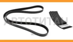 ������ ������������ FORD Patron 6PK1915 6PK1915 ����