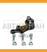 ����� ������� | ����� ����/��� | SG1254 ����