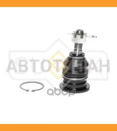 ����� ������� | ����� ����/��� | Lexus IS250/IS300/IS350 (GSE2_) 05- / GS300/GS350/GS430/GS460 (_RS19_) 05- / Toyota MARK X (GRX120, GRX130) 04- SG130...