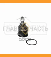 ����� ������� | ����� ����/��� | Honda Accord 89-, Odyssey LOW SG1634 ����