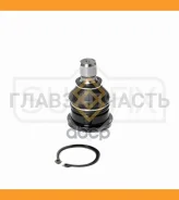 ����� ������� | ����� ����/��� | SG1898 ����