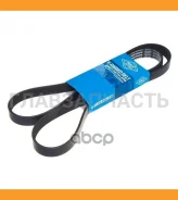 ������ ������������ SUN 6PK1555 ����