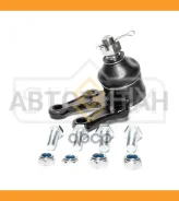 ����� ������� | ����� ����/��� | SG1272 ����