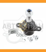����� ������� | ����� ����/��� | FORD Transit (TTS) 19- / = FR LOW SG1310 ����