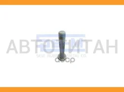 ���� ����������� M30x170 BPW 10262 ����