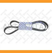 ������ ������������ 8PK1920 MAN TGA Cummins Stellox 0801920SX 0801920SX ����