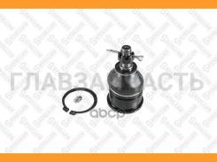 ����� ���. �����. ������� ������ Honda | ����/��� | Honda Accord Mk V 2.2 i VTEC (CE9) 9698/ Honda Accord Mk V 2.0 TDi (CF1) 9698/ Honda Accord Mk V 1...