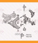 ����� ������� ������ L | ����� ��� | AUDI A1 10-Skoda Fabia/Roomster/Citigo 06-VW Polo/Up 01- TEA1711L ����