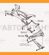 ����������� ������� �������� ����������� ������ | ��� ����/��� | TEF1281 ����