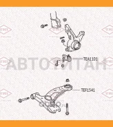 ����������� ��������� ������ | ����� ����/��� | TEF1541 ����