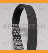 ������ ������������ 7PK1125 7PK1125 TFB1019 ����