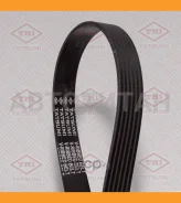 ������ ������������ 6PK1560 6PK1560 TFB1131 ����
