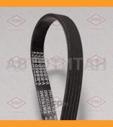 ������ ������������ 5PK1193 5PK1193 TFB1154 ����