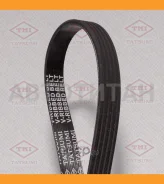������ ������������ 5PK970 5PK970 TFB1173 ����
