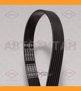 ������ ������������ 6PK883 6PK883 TFB1197 ����
