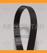 ������ ������������ 6PK1125 6PK1125 TFB1238 ����