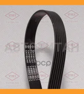 ������ ������������ 6PK1230 6PK1230 TFB1236 ����