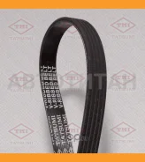 ������ ������������ 5PK880 5PK880 TFB1252 ����