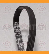 ������ ������������ 5PK865 5PK865 TFB1253 ����