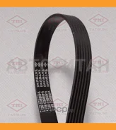 ������ ������������ 6PK1685 6PK1685 TFB1309 ����
