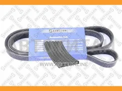 ������ ������������ 6PK1760 Mercedes W202/203/210 2.0/2.3 95, VW T4 2.5TDi 95 60814616, 53010010, 46479557, 1036917, 6PK1760, 49061760 0601760SX ����