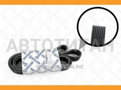 ������ ������������ 8PK2080Omn MB, Scania 0802080SX ����