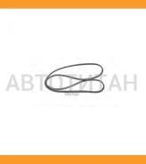 ������ ��� 4PK905* Ti�GUAR 4PK905 ����