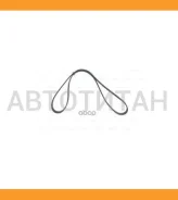 ������ ��������� / Ti-GUAR ��� Renault Alpine A610 3.0 Turbo 12V; 5PK1720; A0129970192 A0129977592 5PK1720Pcsms 5PK1720 ����