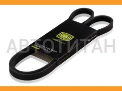 ������ ������������ Suzuki Liana (02-) 4PK1010 ����