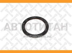 ������� ��������� FKM, 115x140x12 Baslvrsx7 MB Vario/Atego/LK/LN (OM904LA,906LA) 8101372SX ����