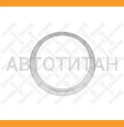 ������ ������� ������ ABS 169x222x18DAF CF65/75/85, XF95/105, SB230/4000, SBR230/4000 8441821SX ����