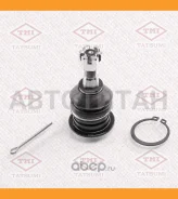 ����� ������� ������� L/R Lexus GS/IS 05-/ Toyota Mark X/Crown 03- TEA1142 ����