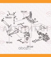 ����������� ������� ����������� ������ | ��� ����/��� | TEF1343 ����