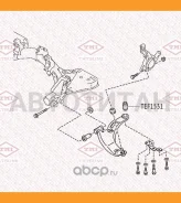 ����������� ��������� ������ | ����� ����/��� | TEF1531 ����