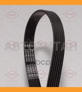 ������ ������������ 6PK2203 6PK2203 TFB1031 ����