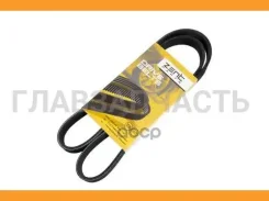 ������ ������������ 6PK1100 Peugeot 306/405, Citroen ZX 1.6-2.0 91 Z22598 ����