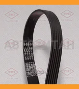 ������ ������������ 6PK1888 6PK1888 TFB1117 ����