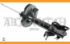 ������ ������������ �������� ����� /334367/ NI Cefiro/Maxima A33 -01 B3231 ����