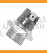 ������ ���. ����������� Audi 80/100, VWGolf/Passat 1.1-2.2i 78-85 TS6996 ����