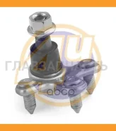 ������� ����� ��� ����� ������ HON Civic X (FC) 16- HNB06407 ����