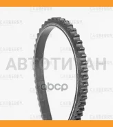 ������ �������� Universal 10X775 ����