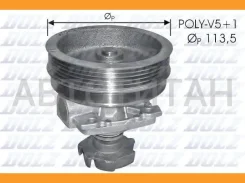 ������� ����� Dolz S218 S218 ����