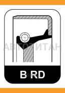 ������� ��� ���� ���������� 55x75x8 ZF 16S-130/160/190. 16K-160 284645 ����