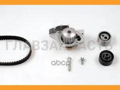 ������ ��� [141x25,4] + 2 ������ + ����� + ����� Citroen C5/Berlingo/Jumper, FIAT Ducato, Peugeot 206/307/406/Boxer/Expert 2.0HDI 98 - P841, 65994, 55...